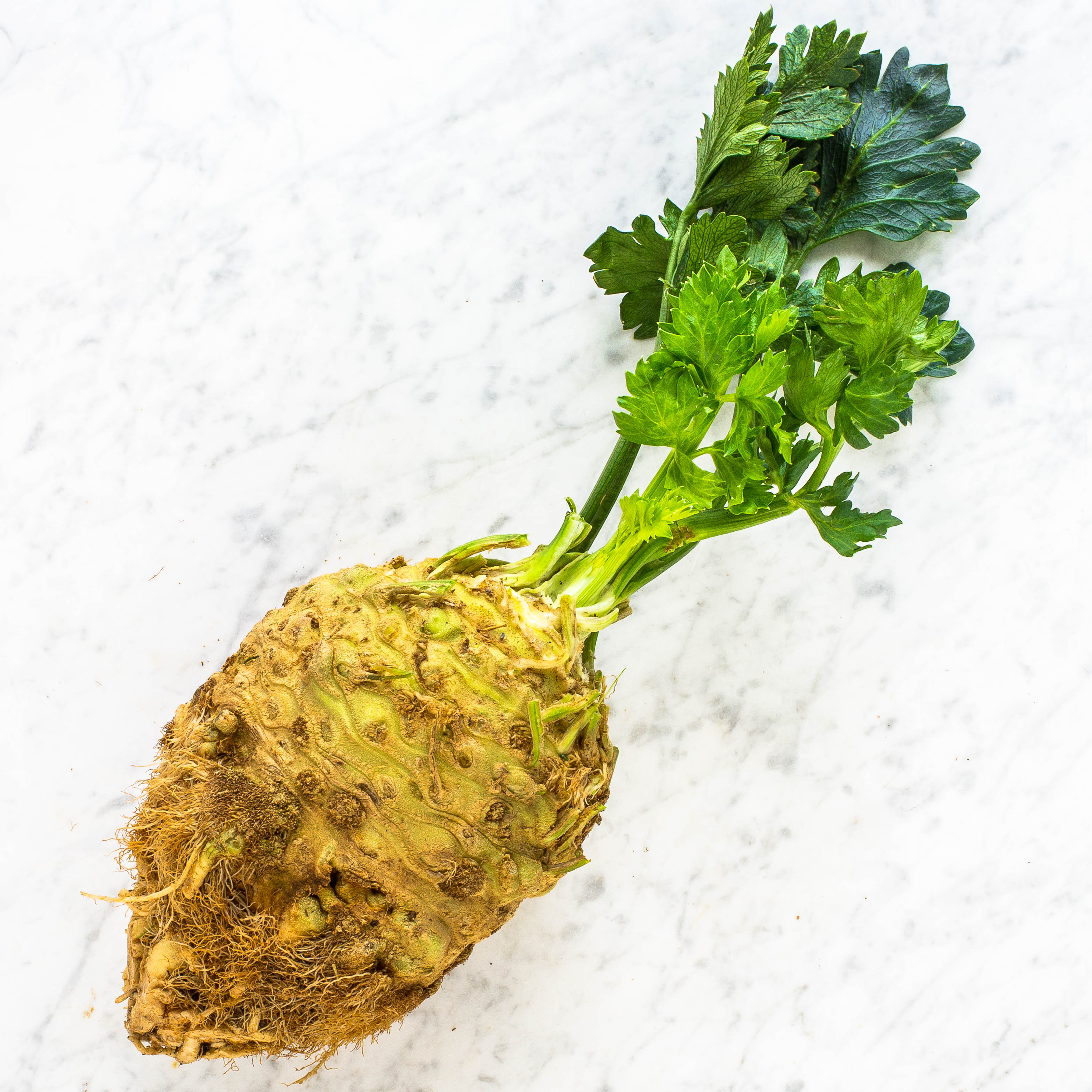 Celeriac