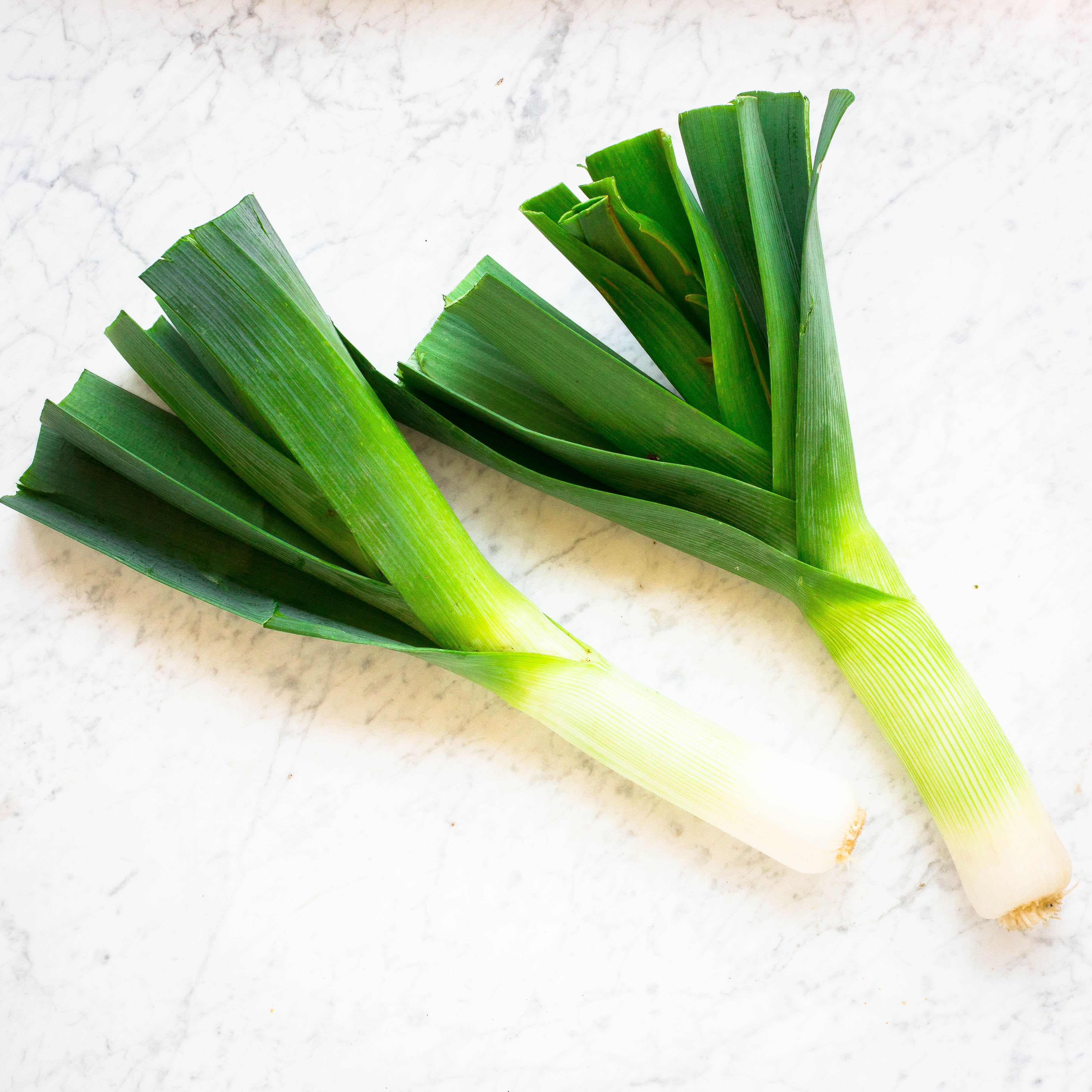 Leek