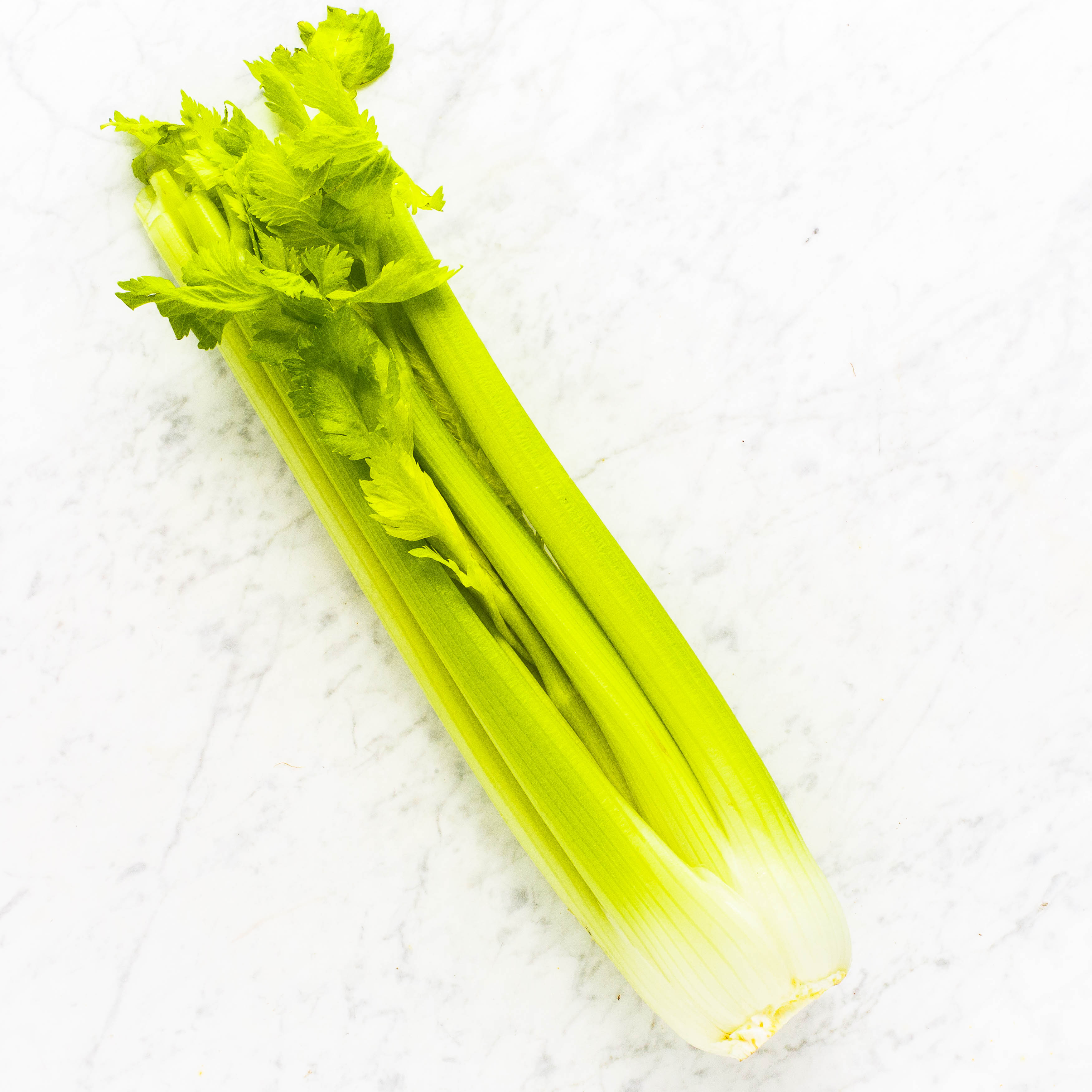 Celery