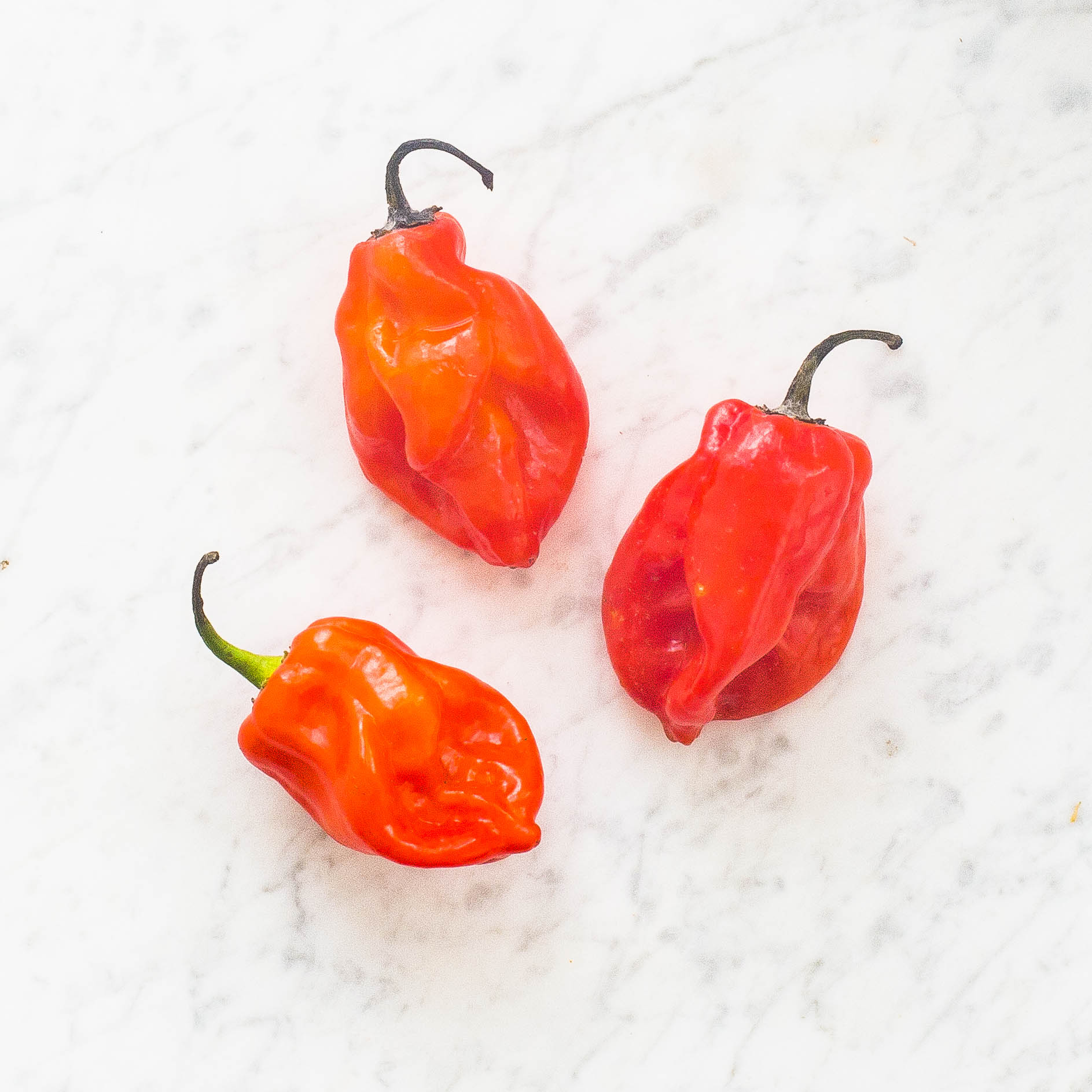 Habanero