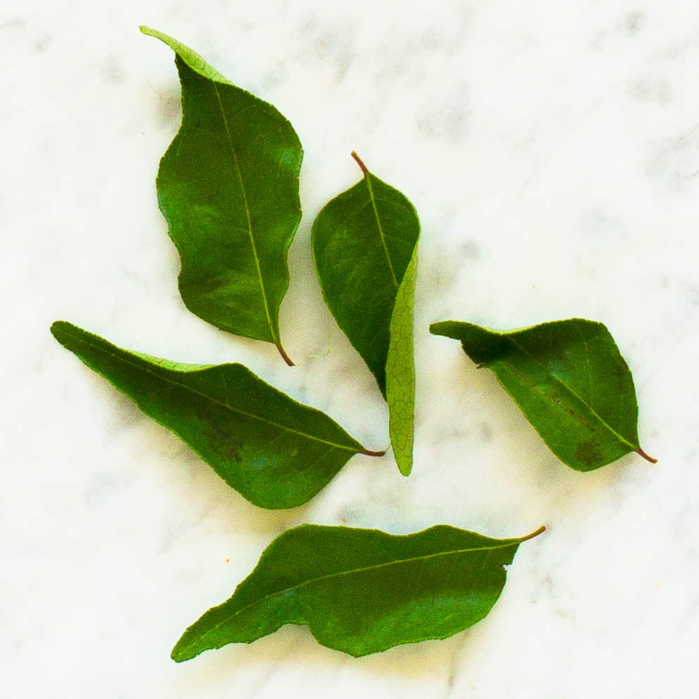 Curry Leaf