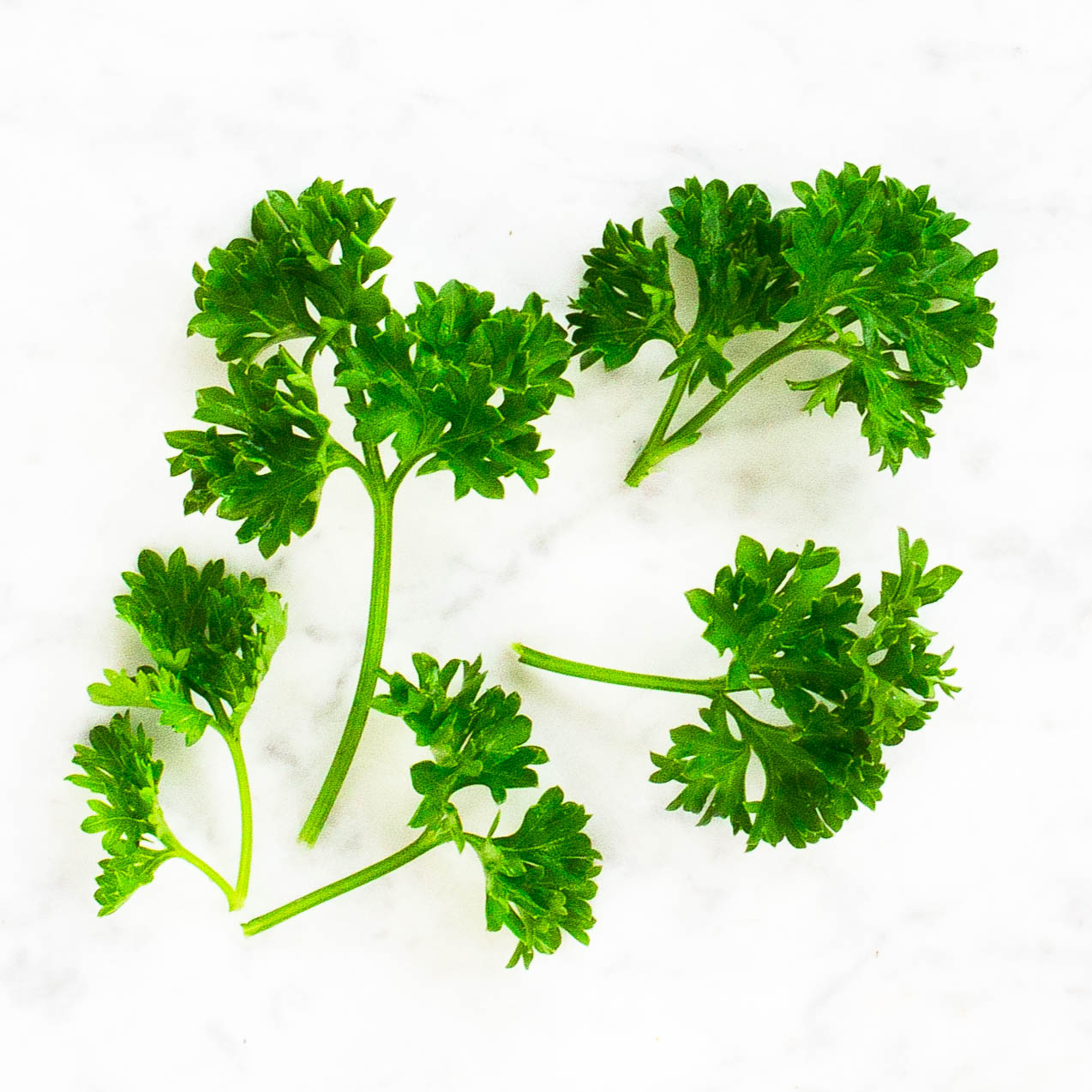  Parsley