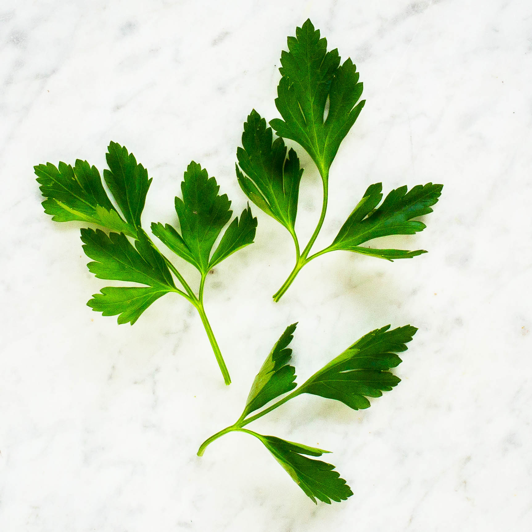 Flat-Leaf Parsley