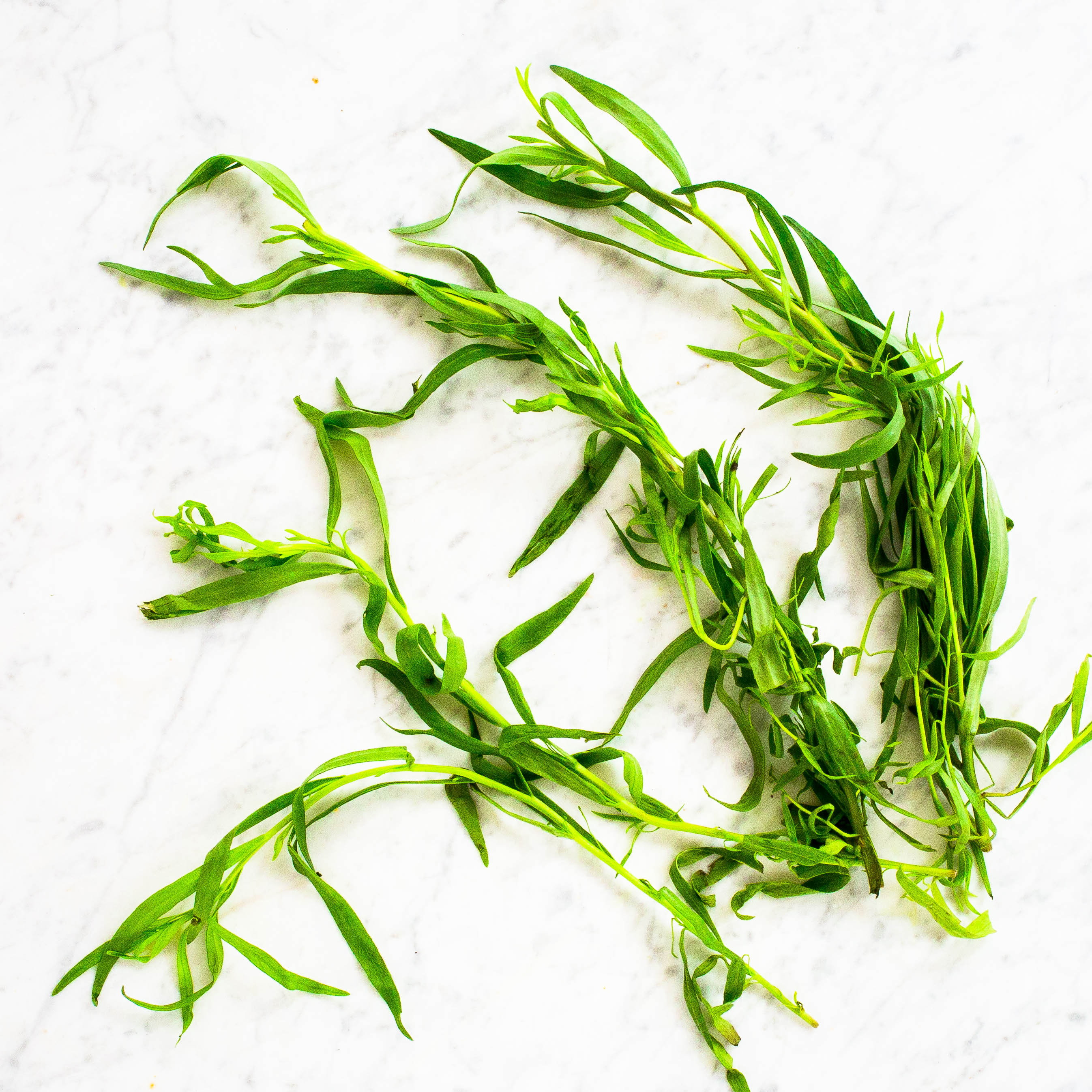 Tarragon