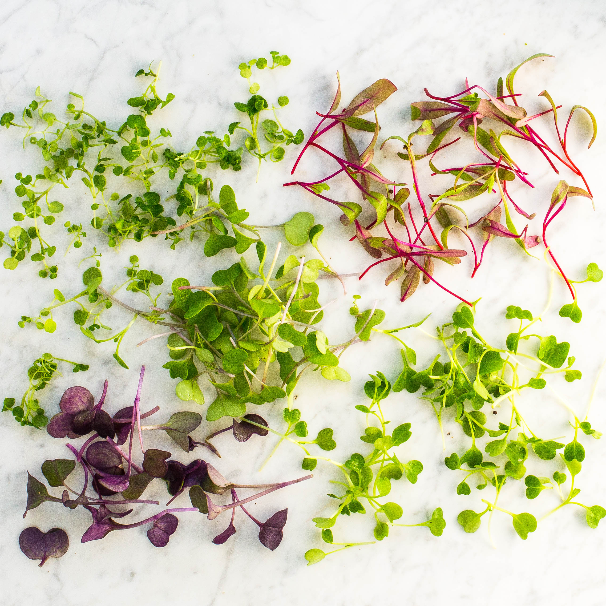 Microgreens