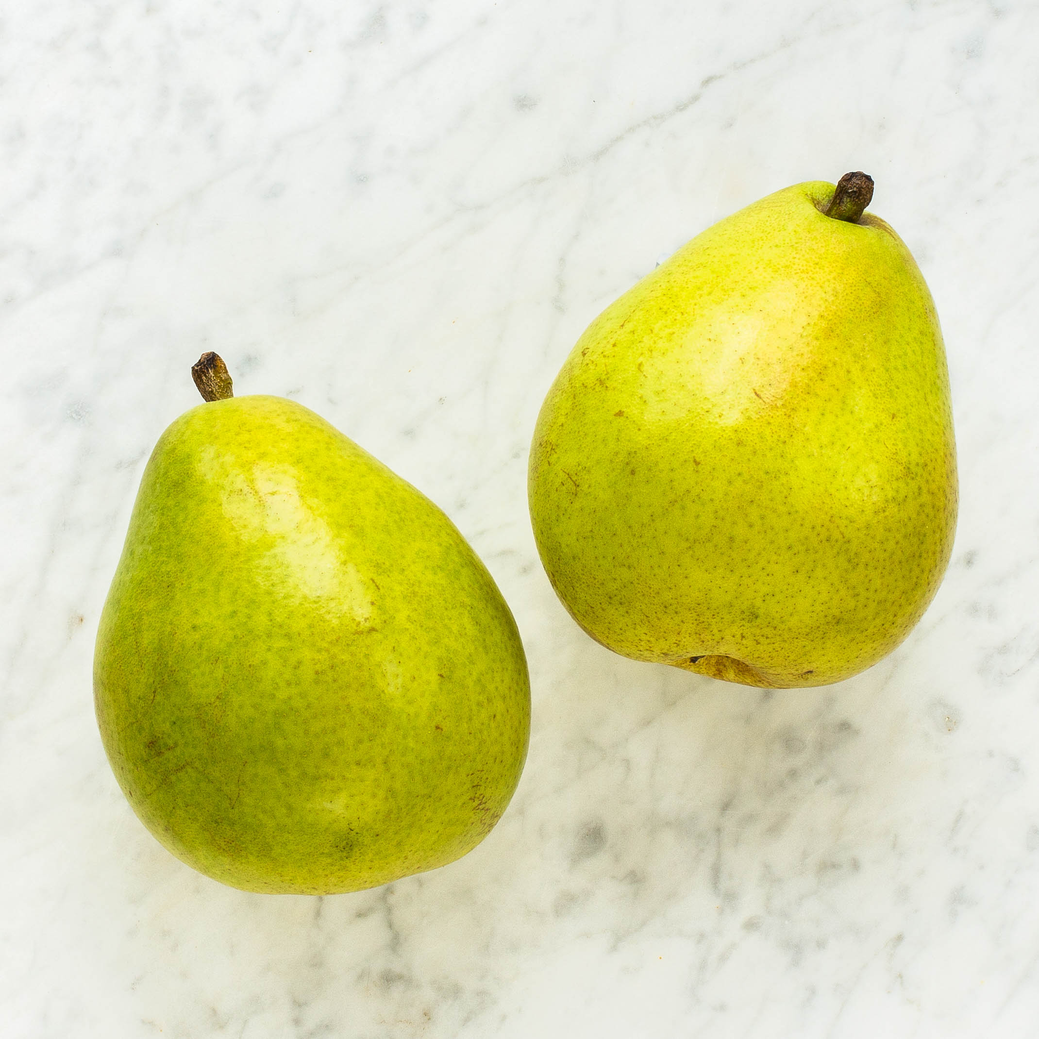 D'Anjou Pear