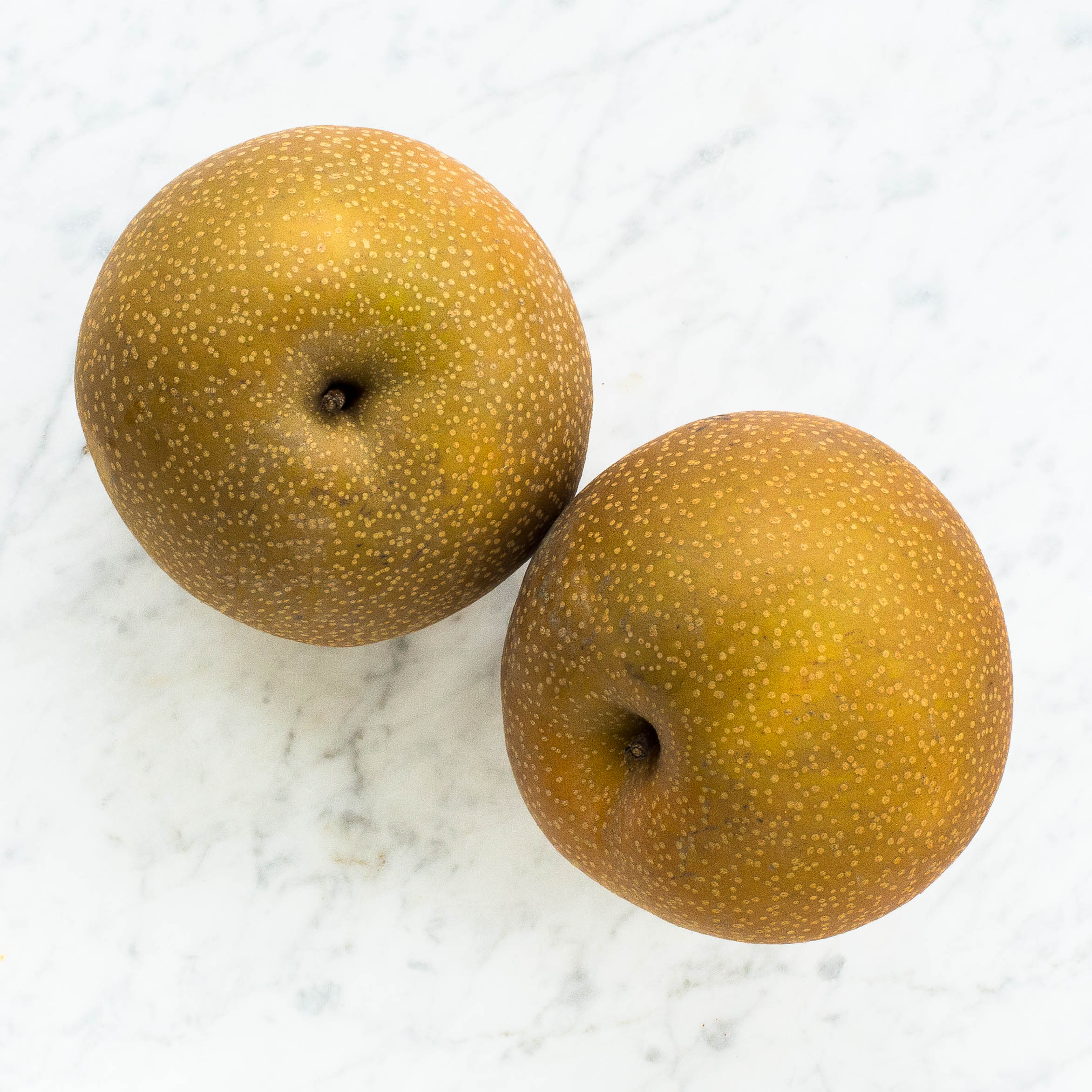 Asian Pear