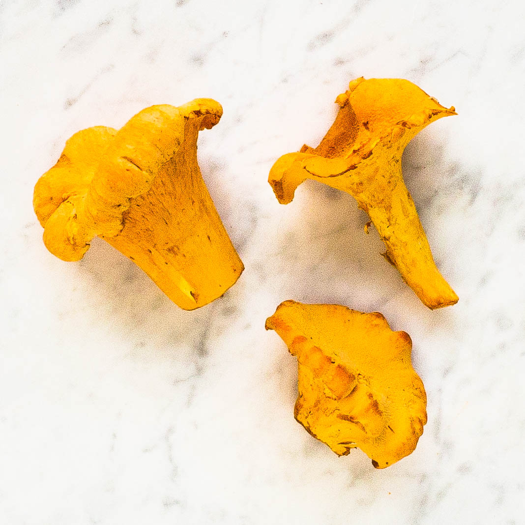 Chanterelle
