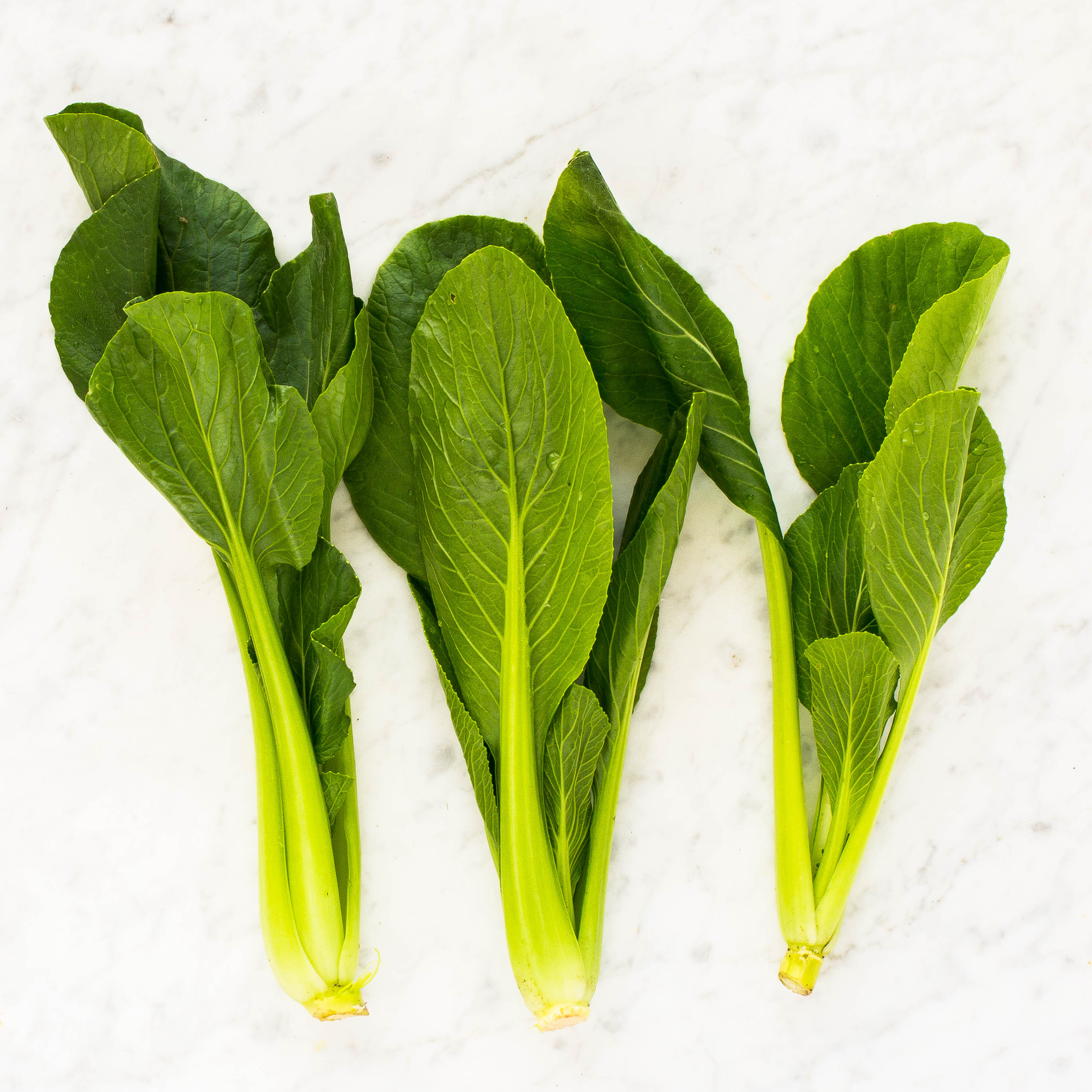 Pak Choi
