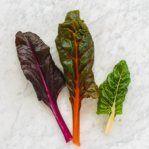 Swiss Chard