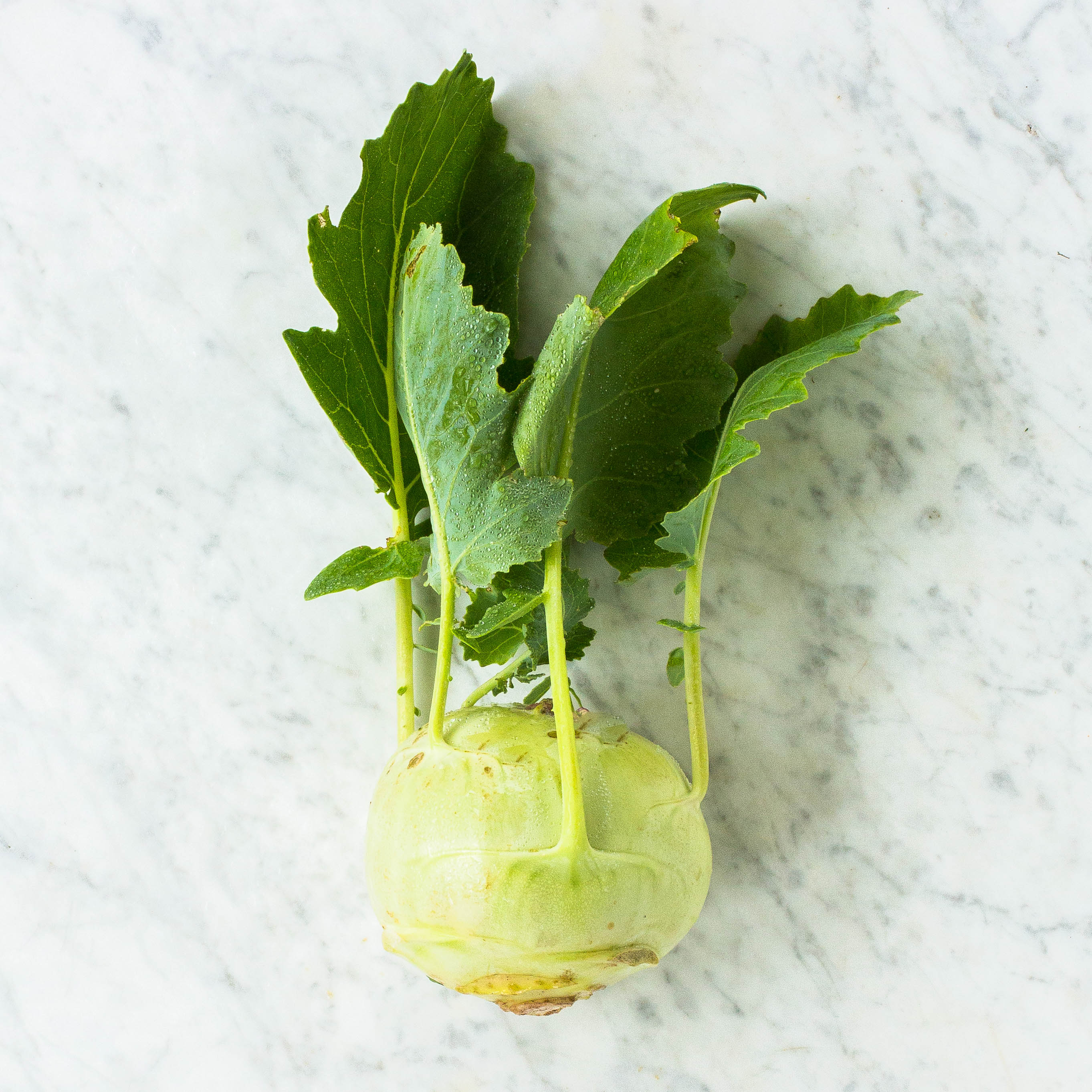 Kohlrabi