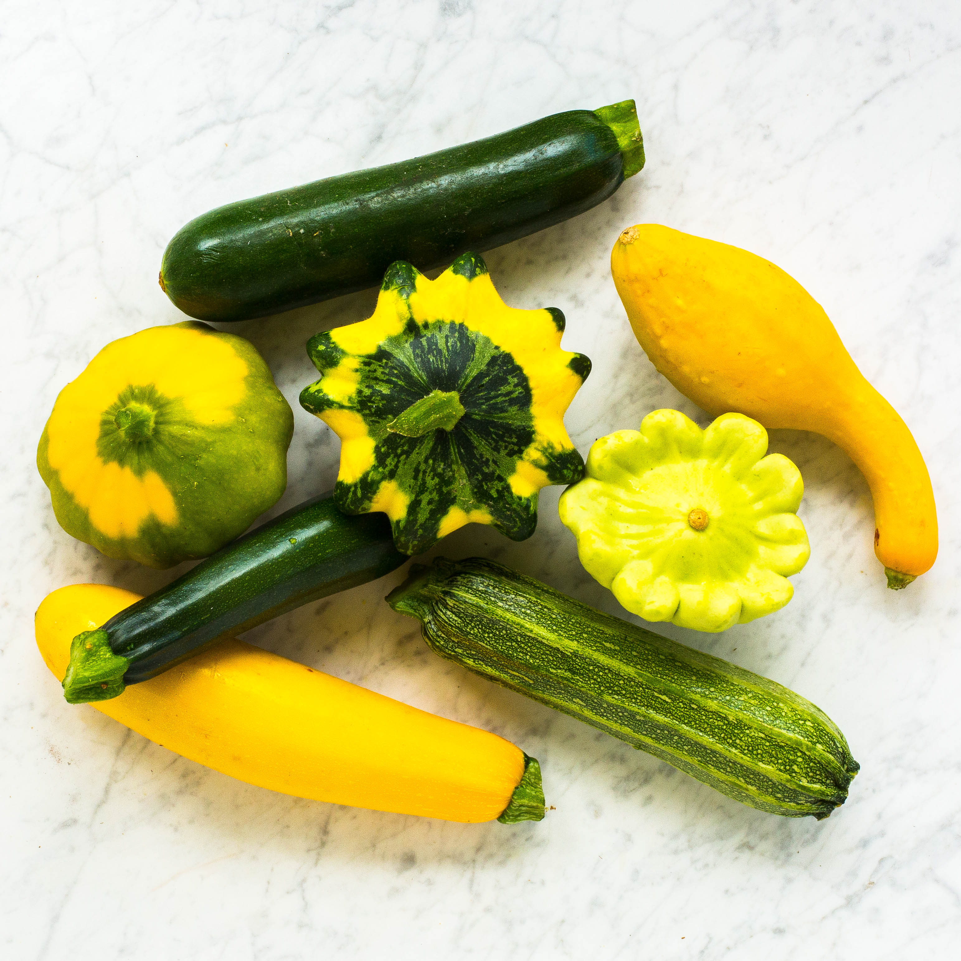 Summer Squash