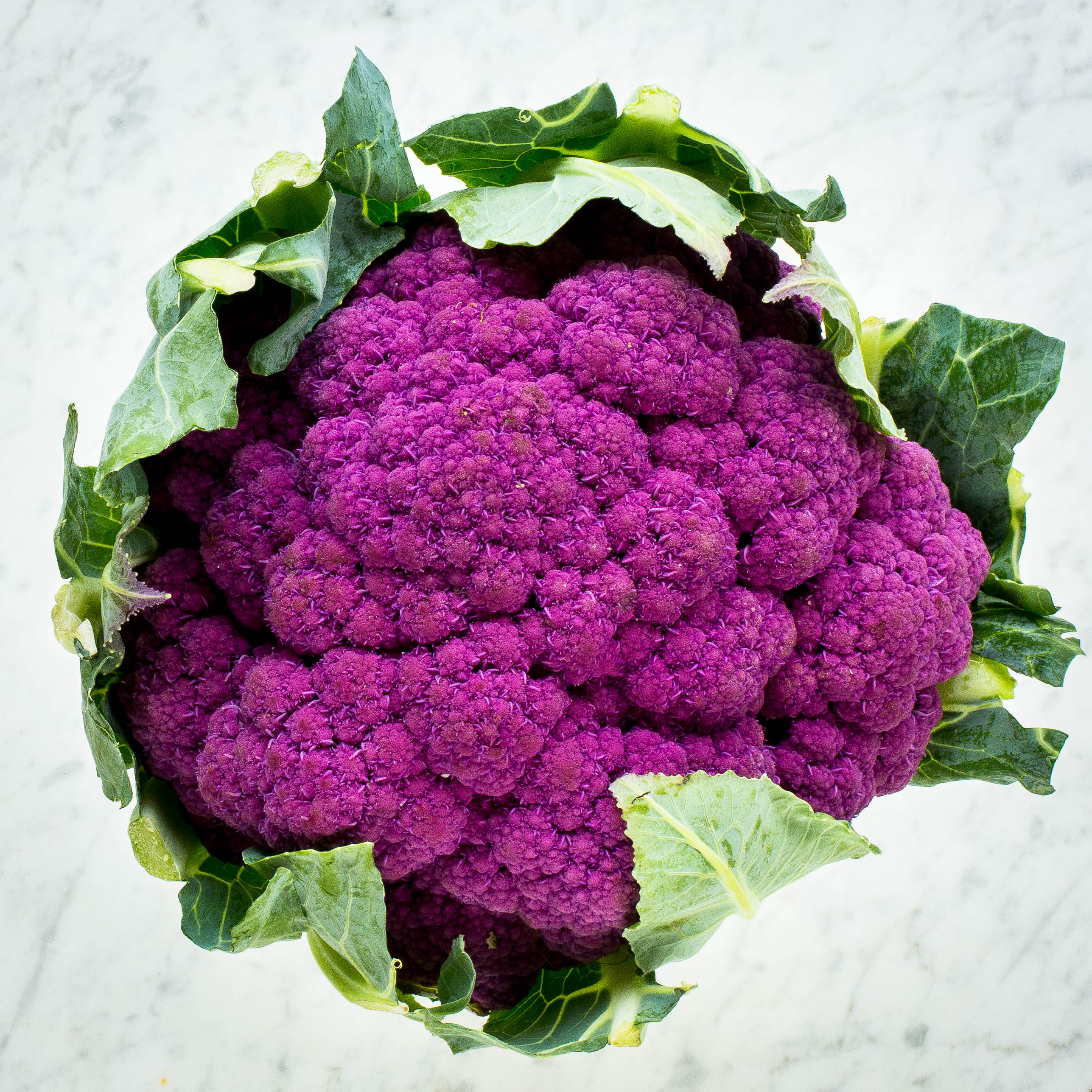 Purple Cauliflower