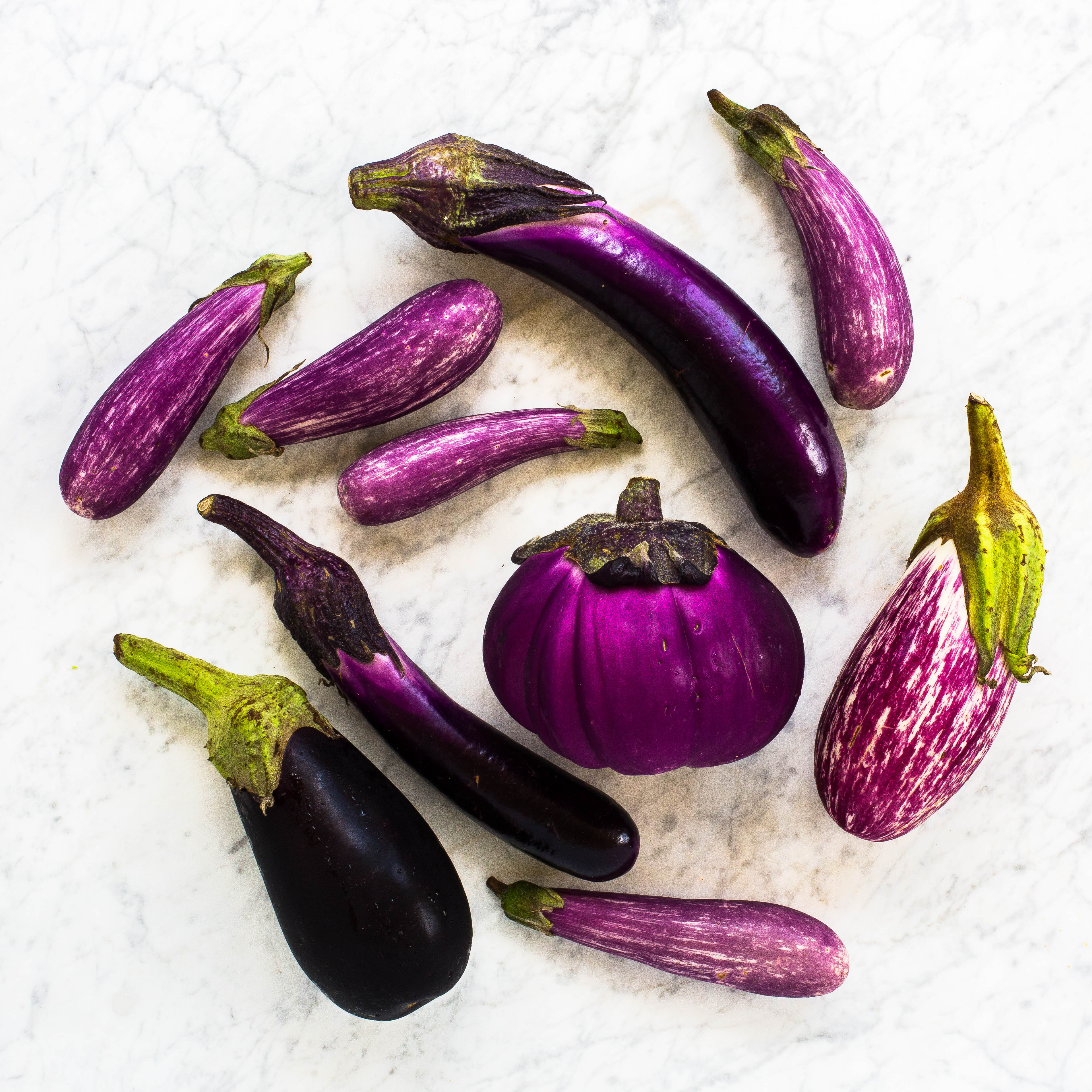 Eggplant
