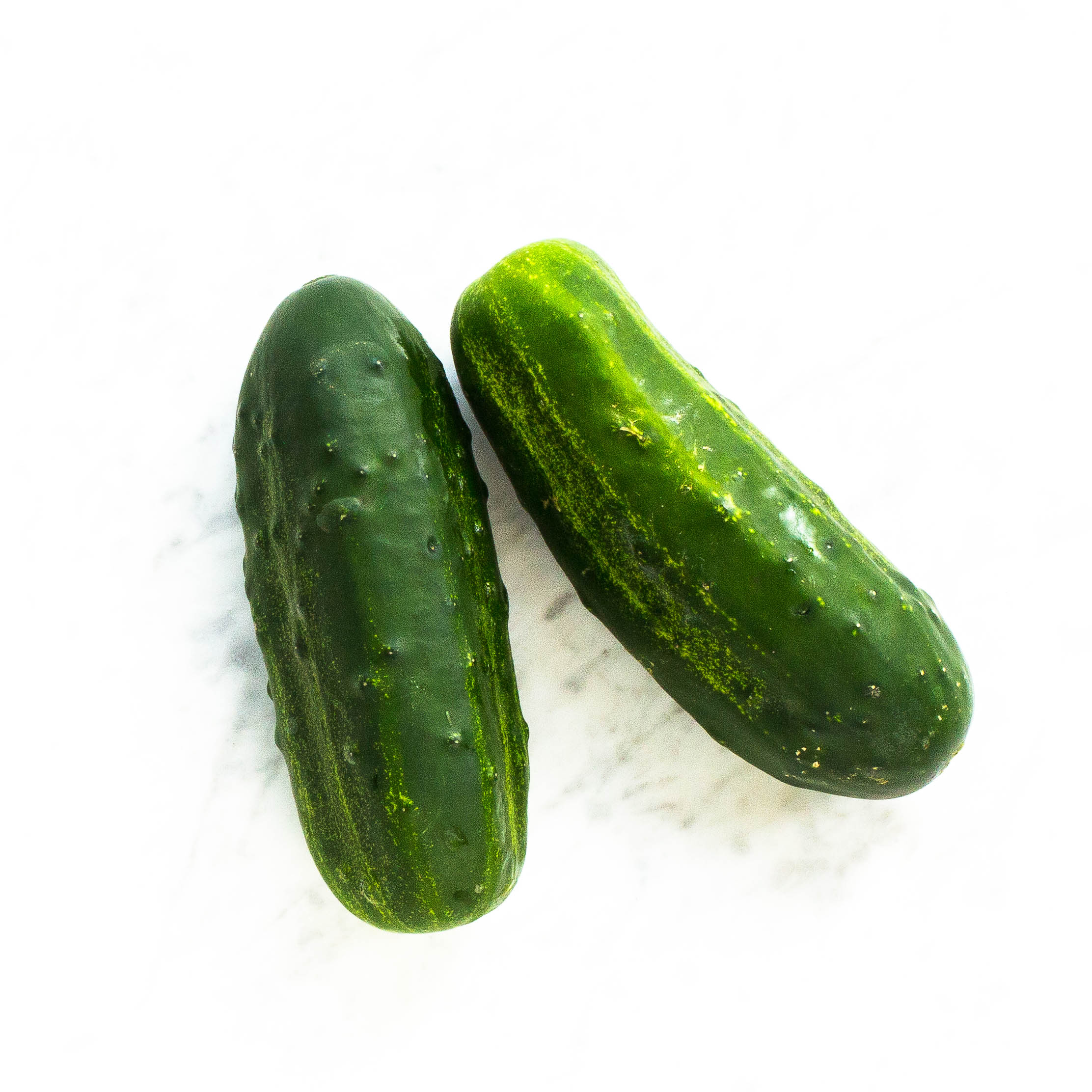 Cucumber