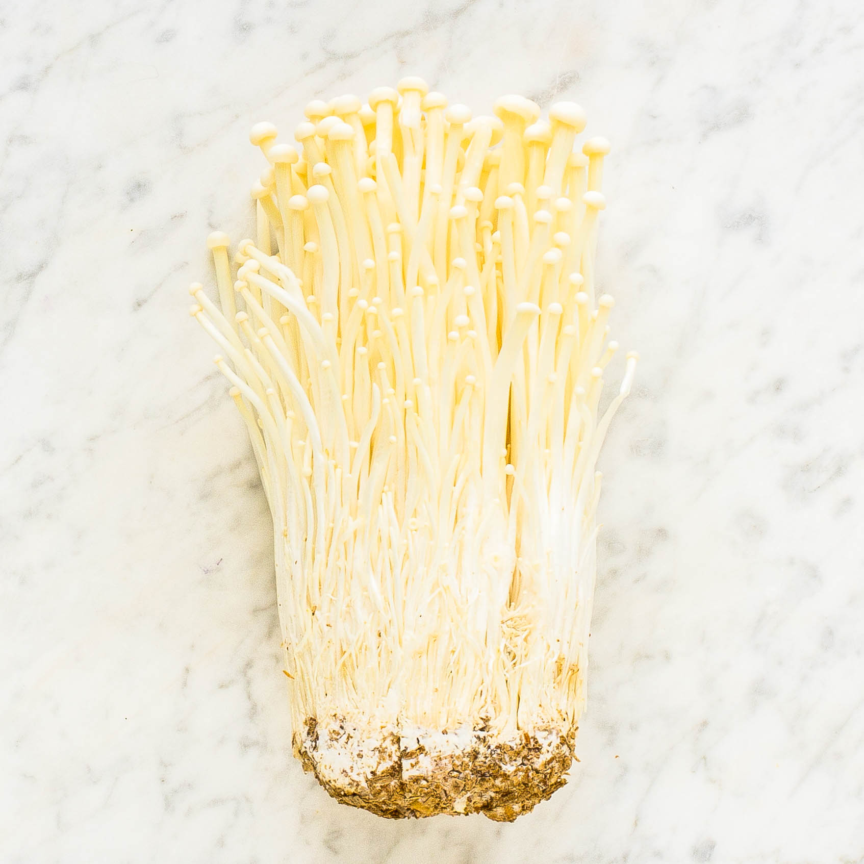Enoki