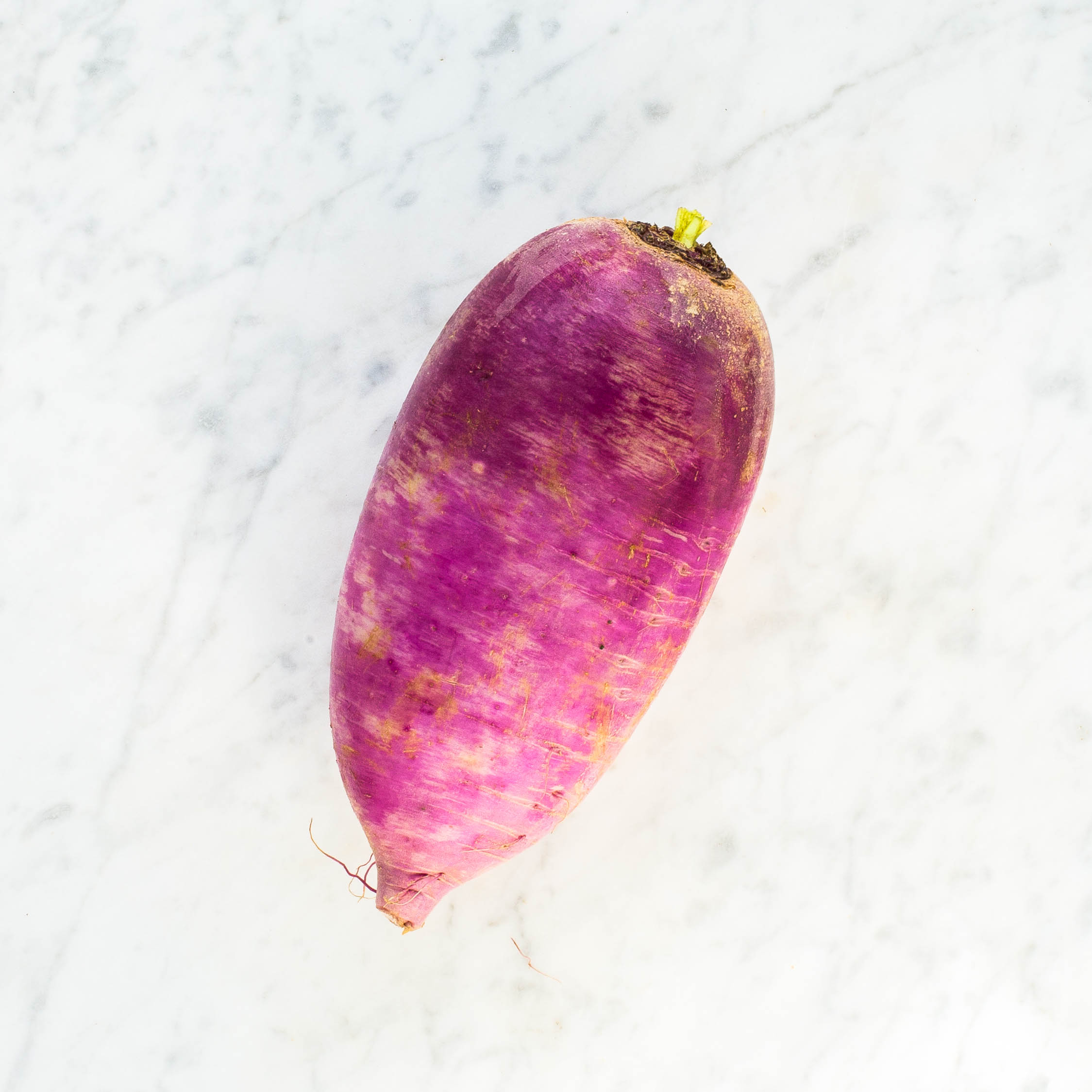 Purple Daikon