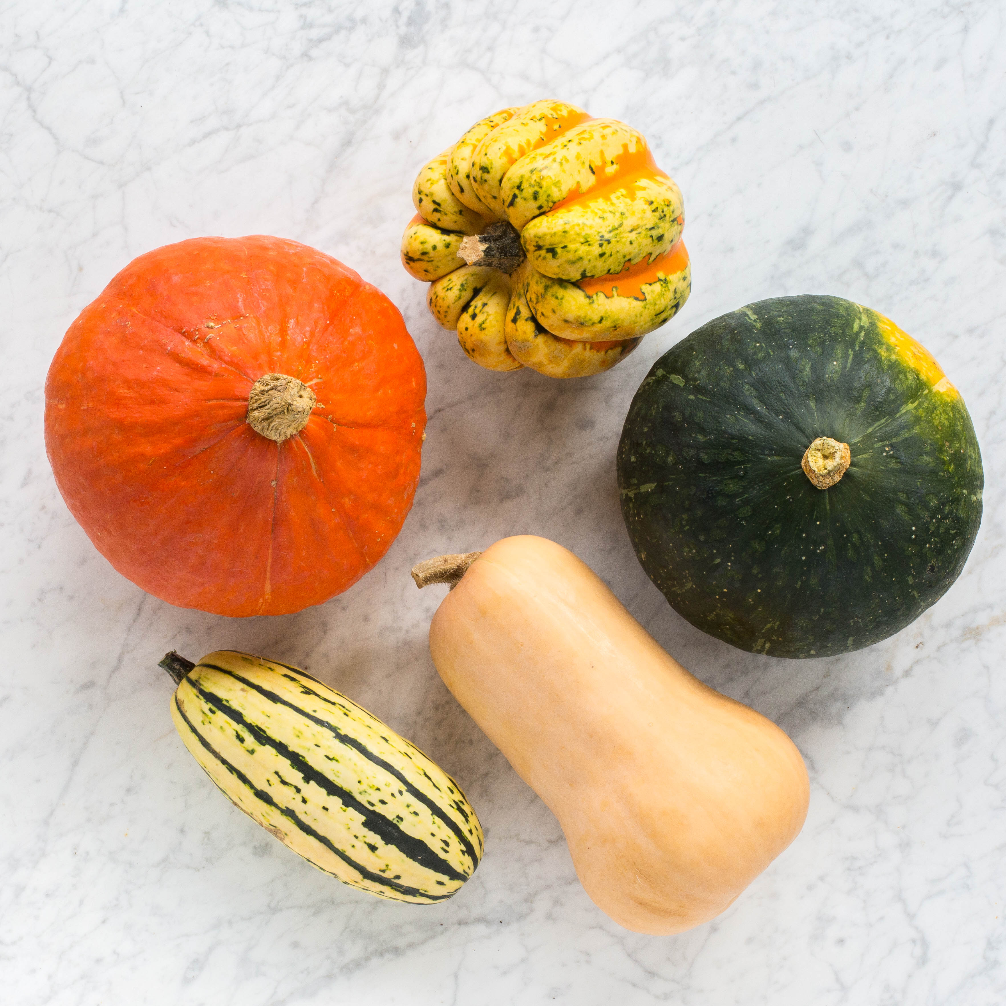 Winter Squash