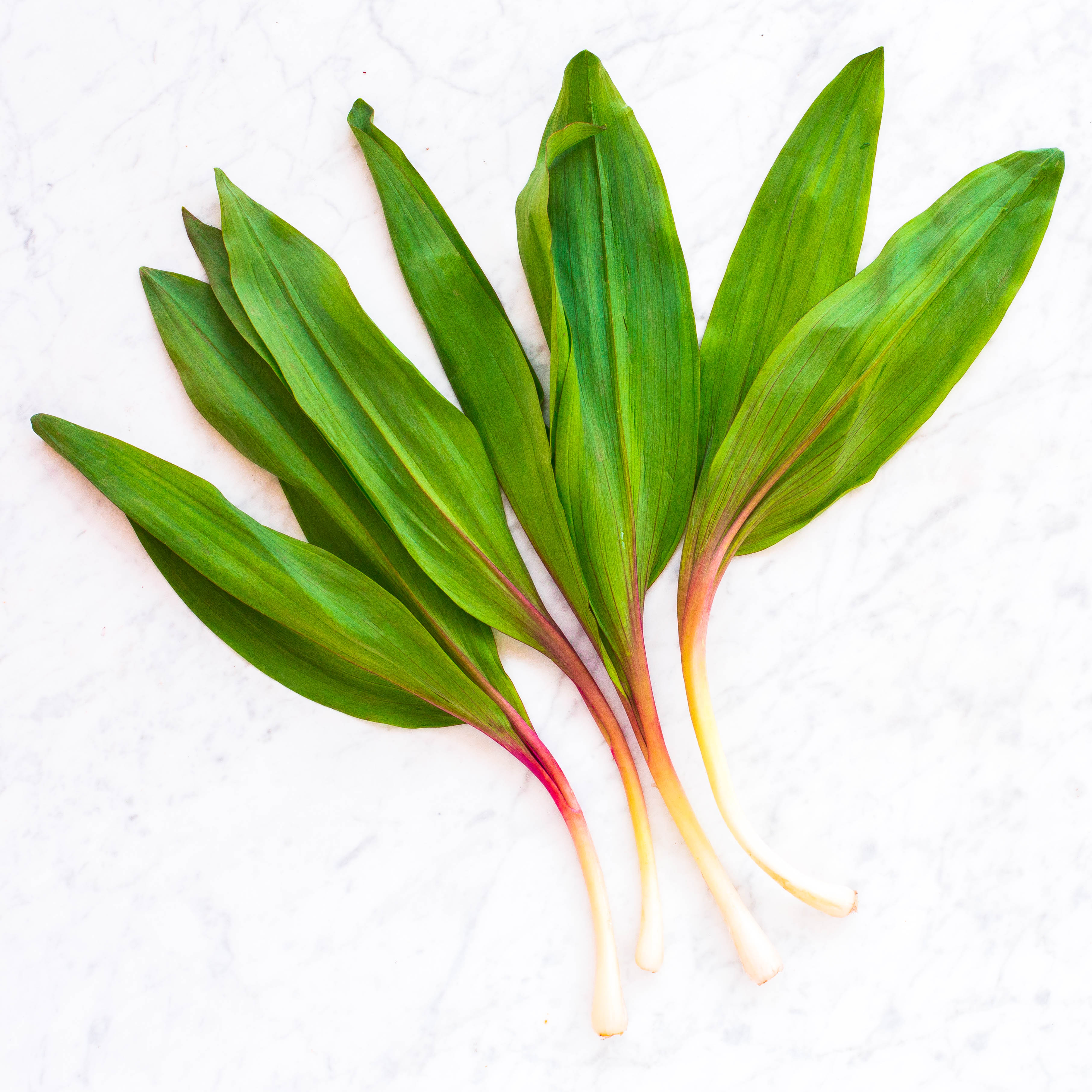 Ramps