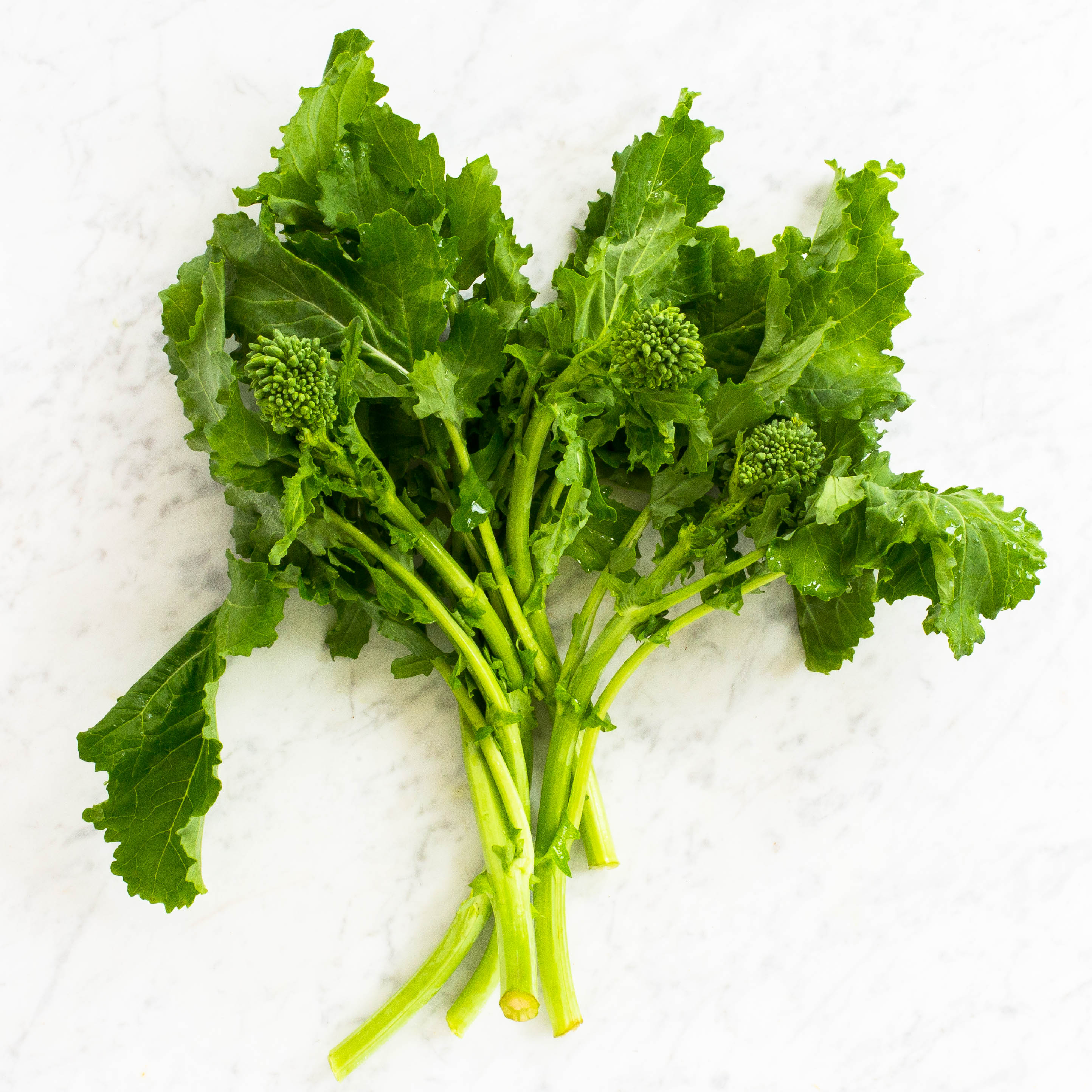 Broccoli Rabe