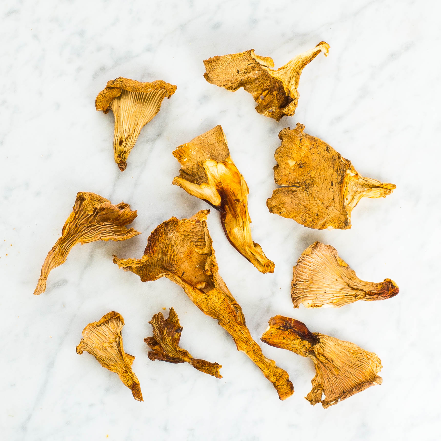 Chanterelle