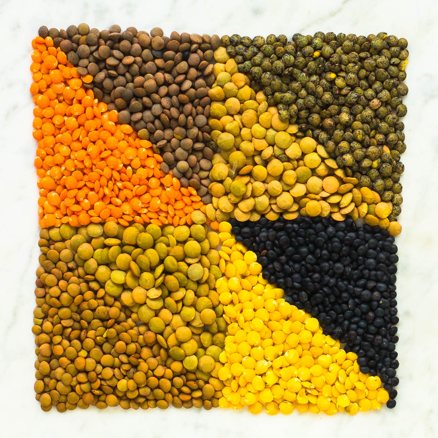 Dried Lentils