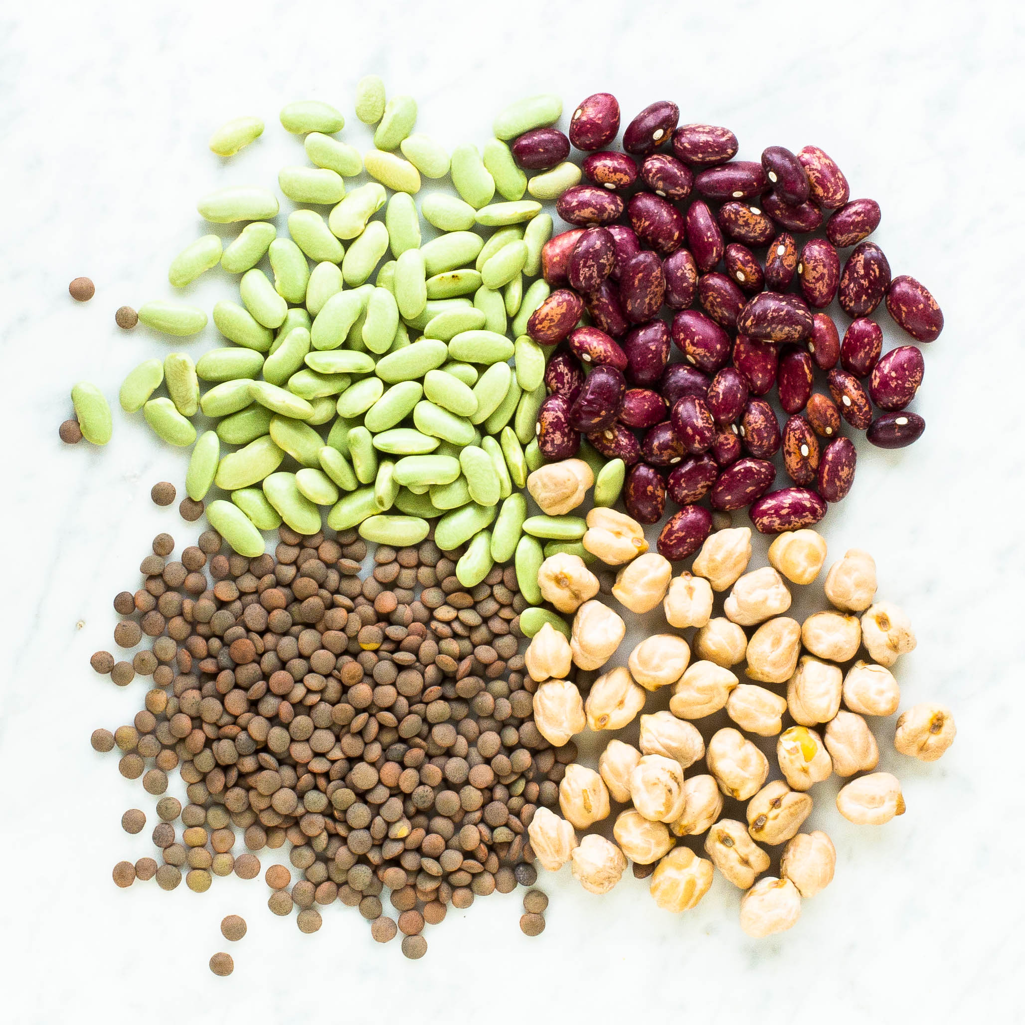 Dried Beans and Lentils