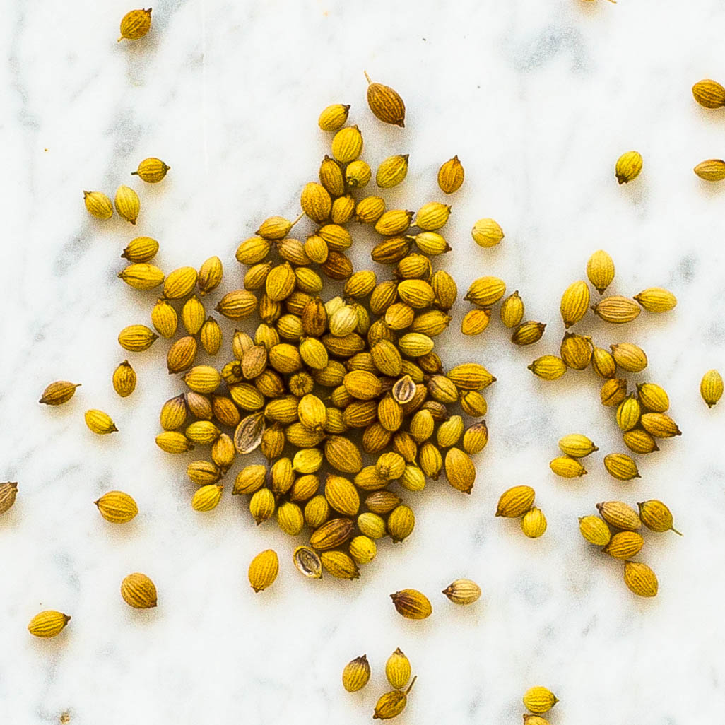 Indian Coriander