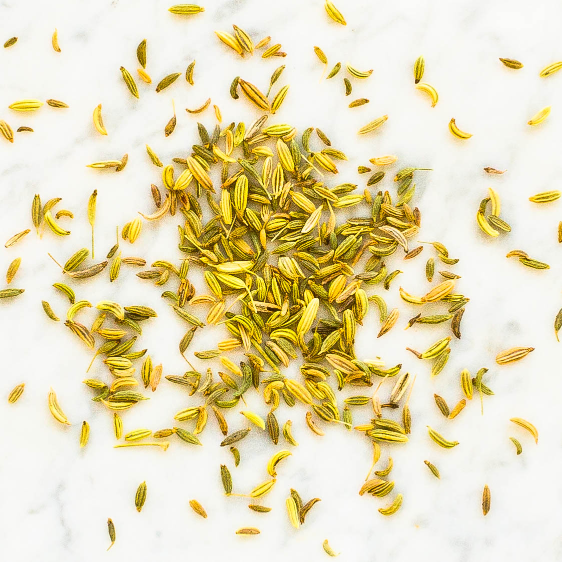 Fennel Seeds