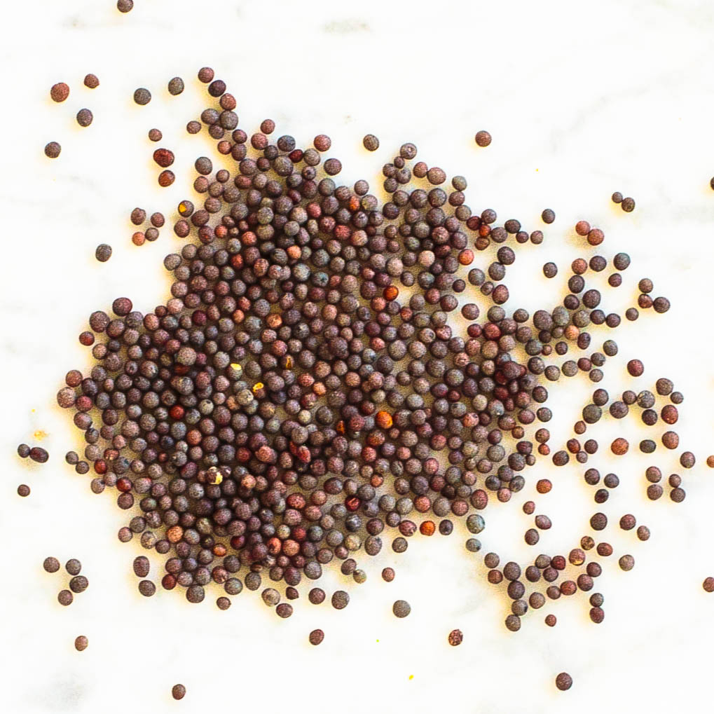 Mustard Seeds
