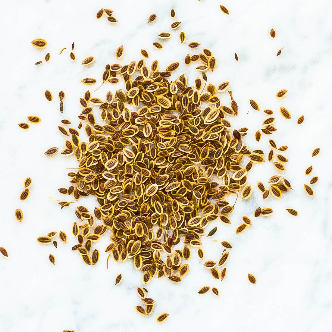 Dill Seeds