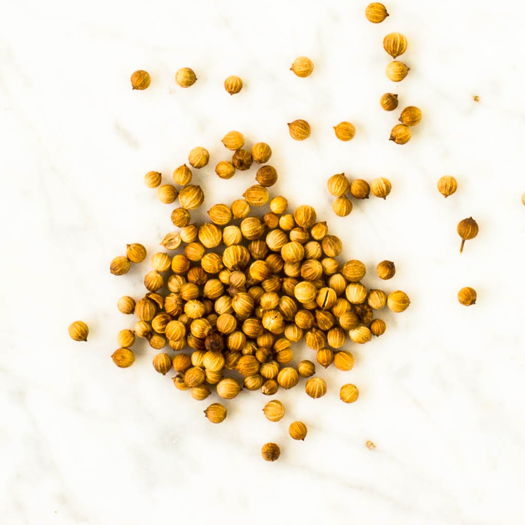 Moroccan Coriander